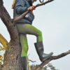 DSC_2719VERT